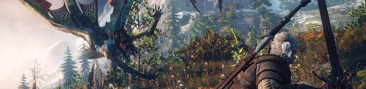 The Witcher 3: Wild Hunt Review